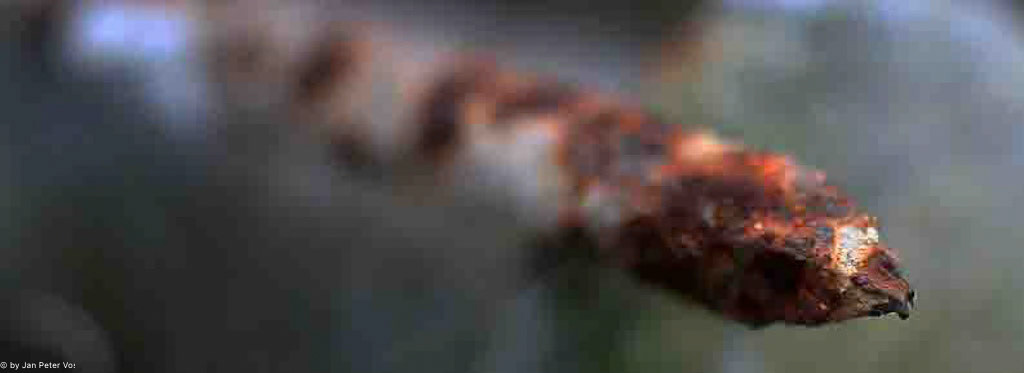 The Essence of a Nail: 60x160cm