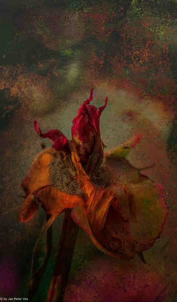 The Prophet:120x70cm