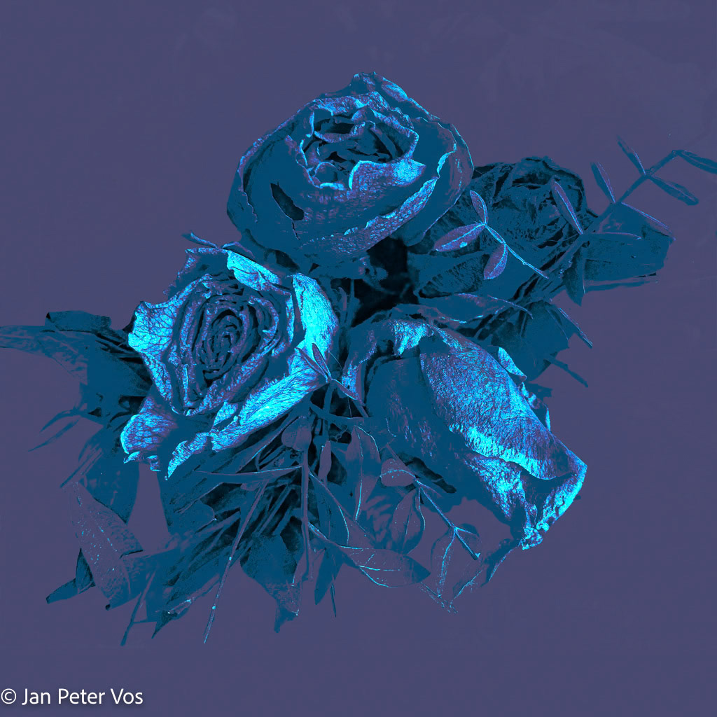 La Vie en Rose, 411205-106