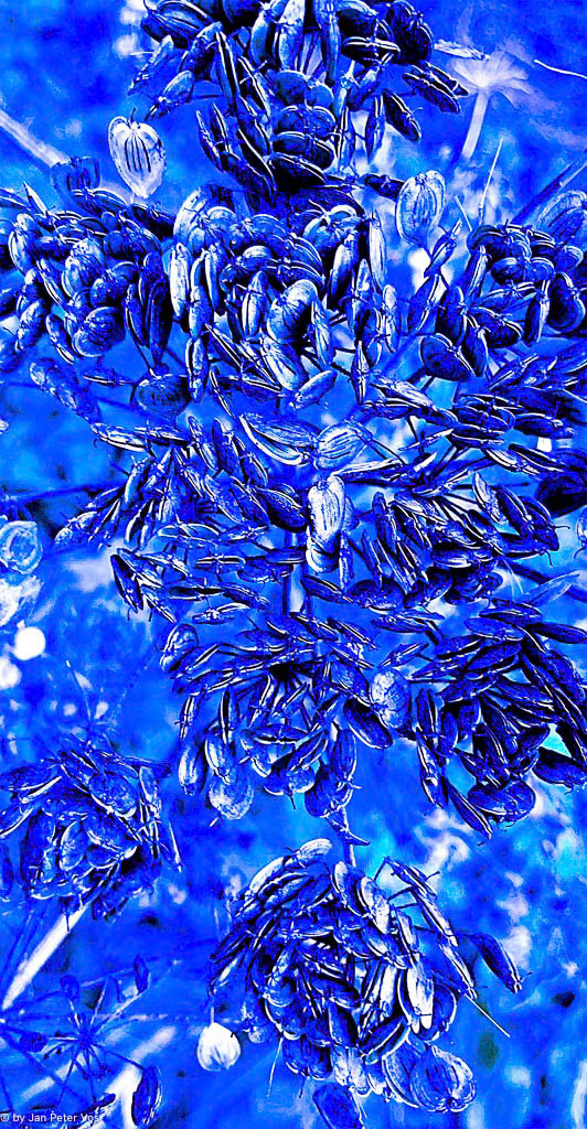 Blue Chips, 411623-101