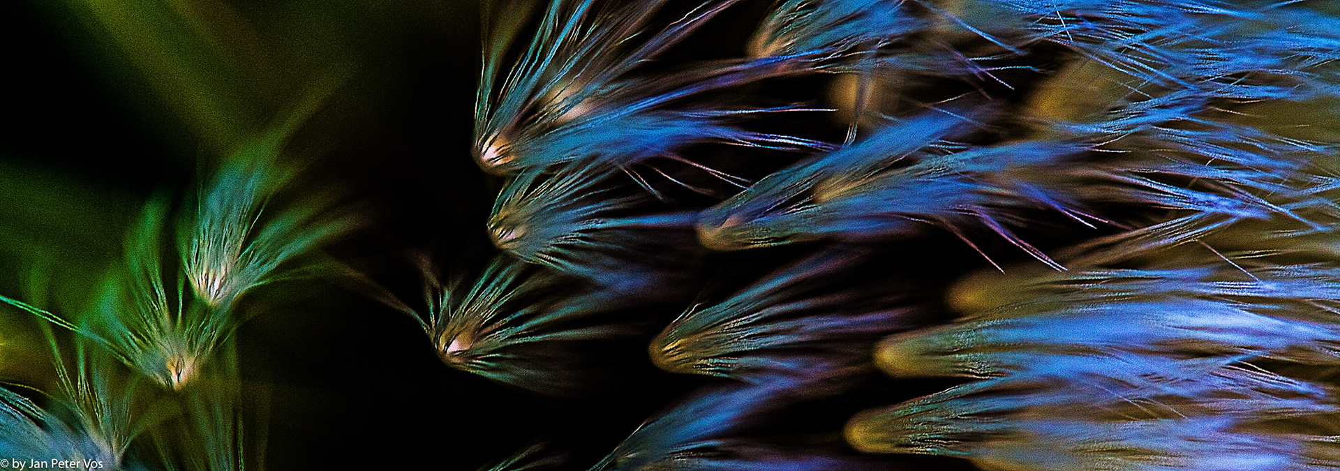 Blown by the Wind, 406958-1