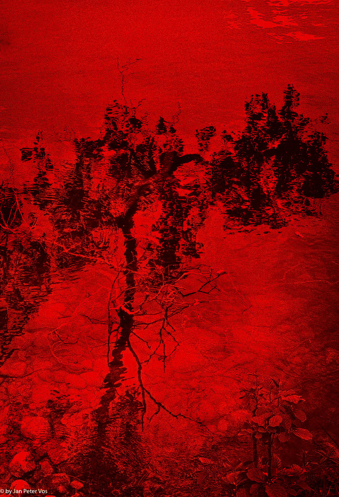 Reflections, 408537-105