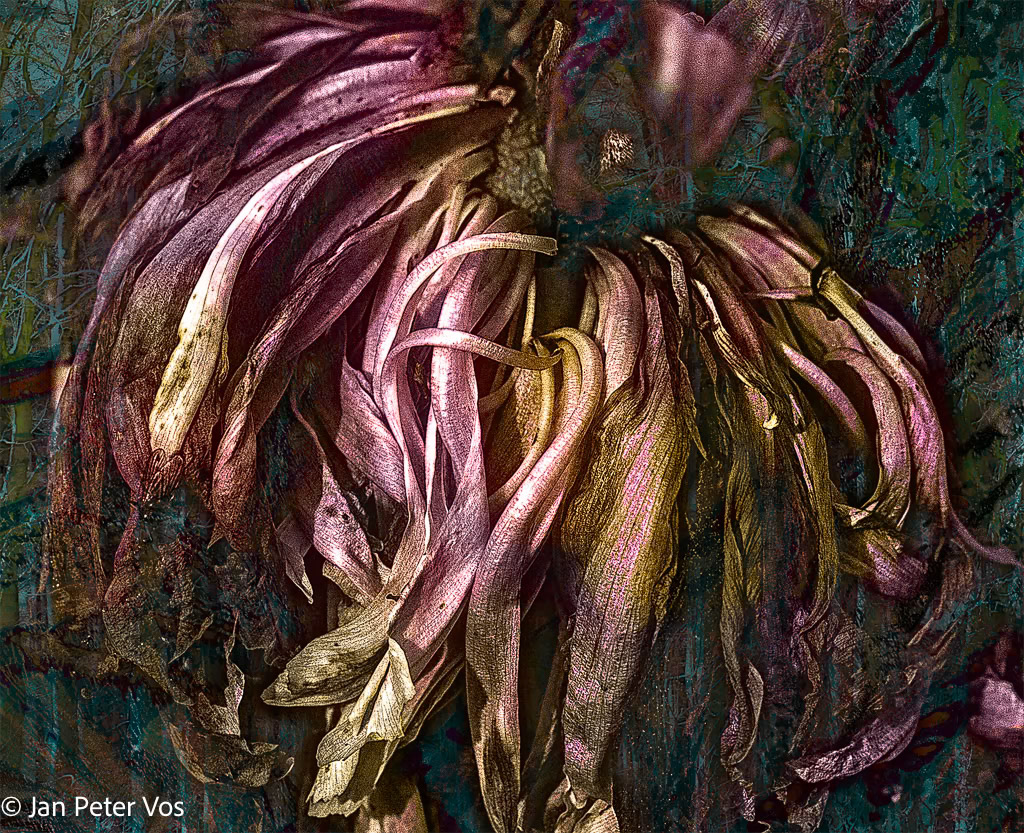 Dancing into Ecstasy, 407032-103