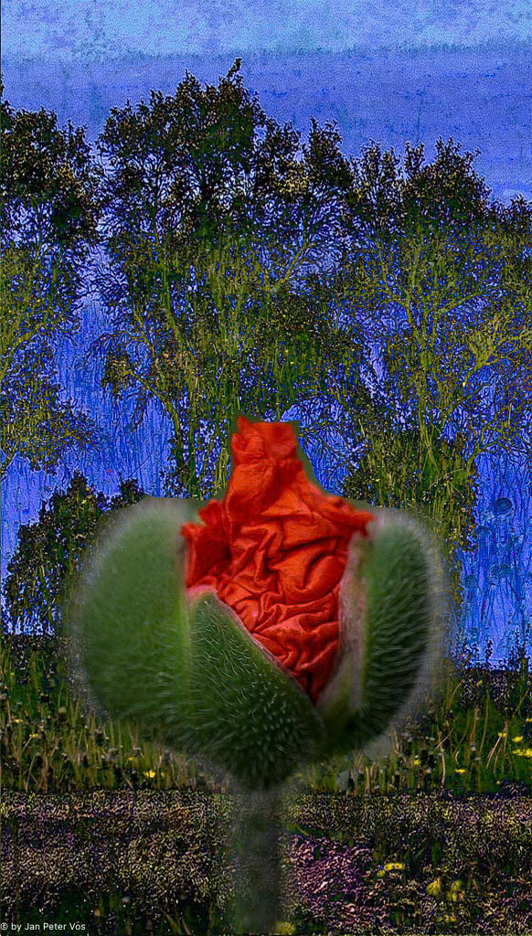 A Tale of Spring, 405610-107