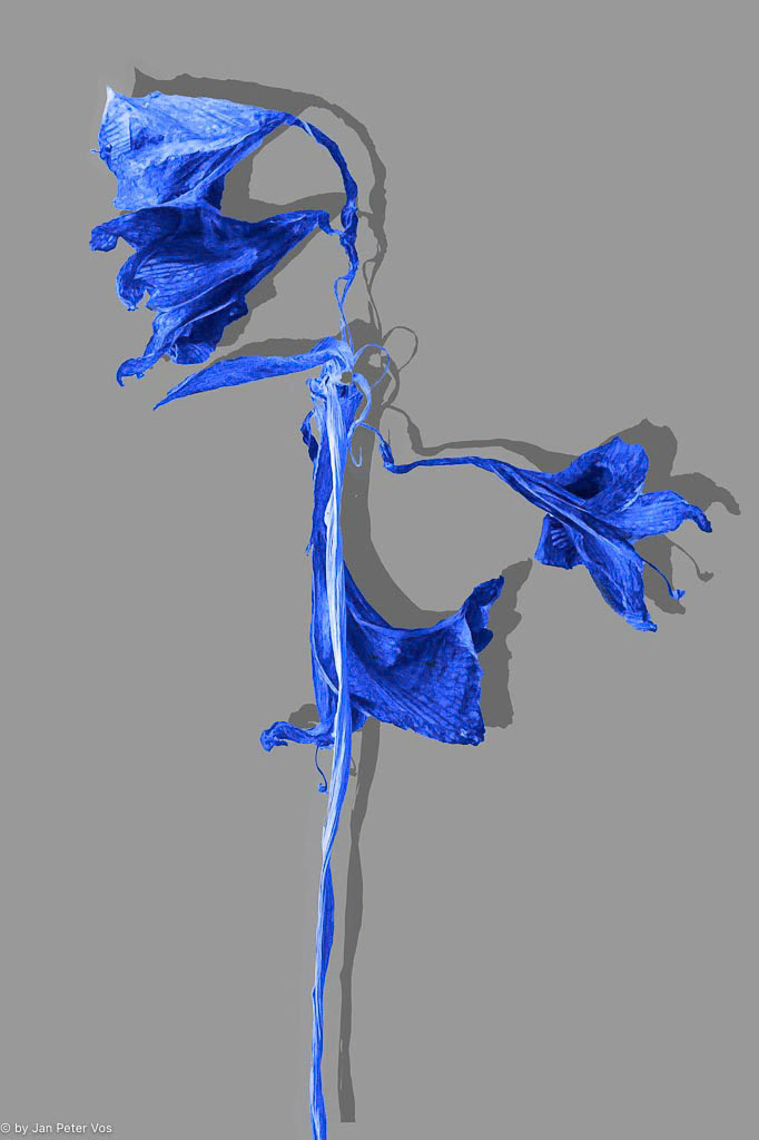 An Exercise in Delfts Blue, 410958-110