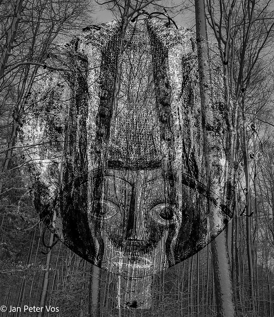 The Spirit of the Forest, 411971-106