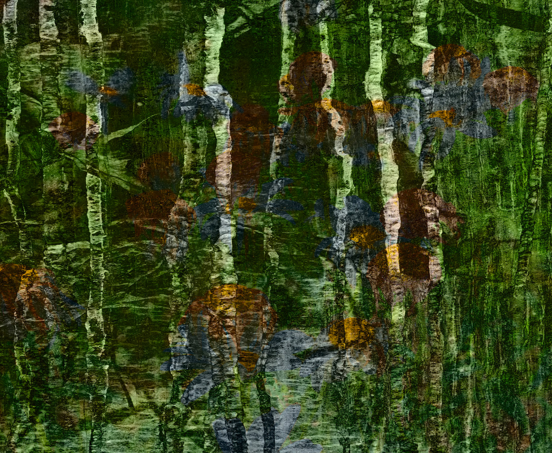 Dreaming on the Pond Site, 411423-104