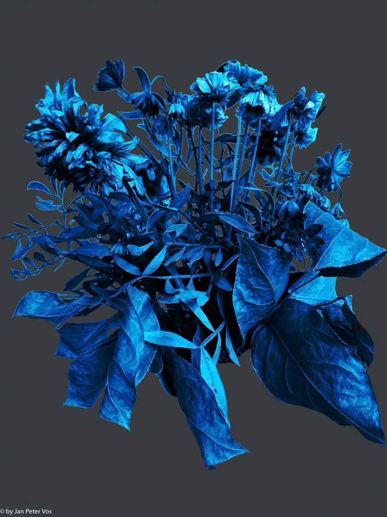 Bouquet in Blue, 411201-203