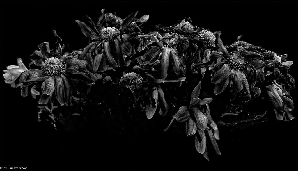 We have been Martha´s Bouquet, 402066-104