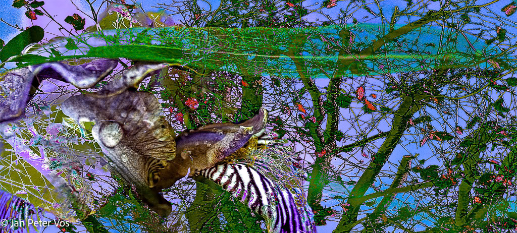 Fairy Magic, 404587-103