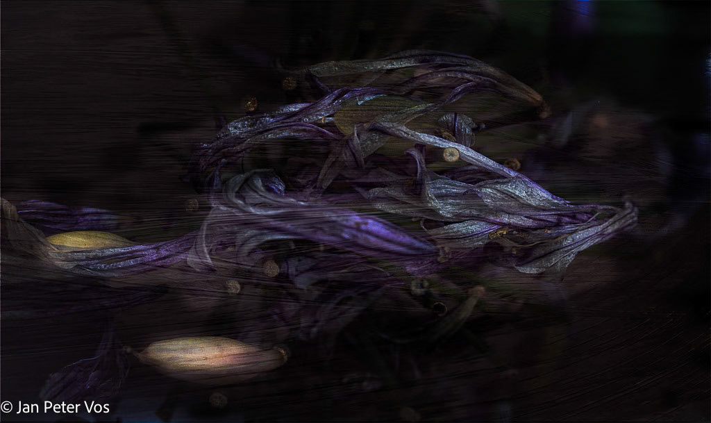 Creature, 400624-104