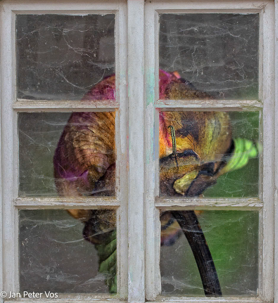 You see me? I see you, 402968-100