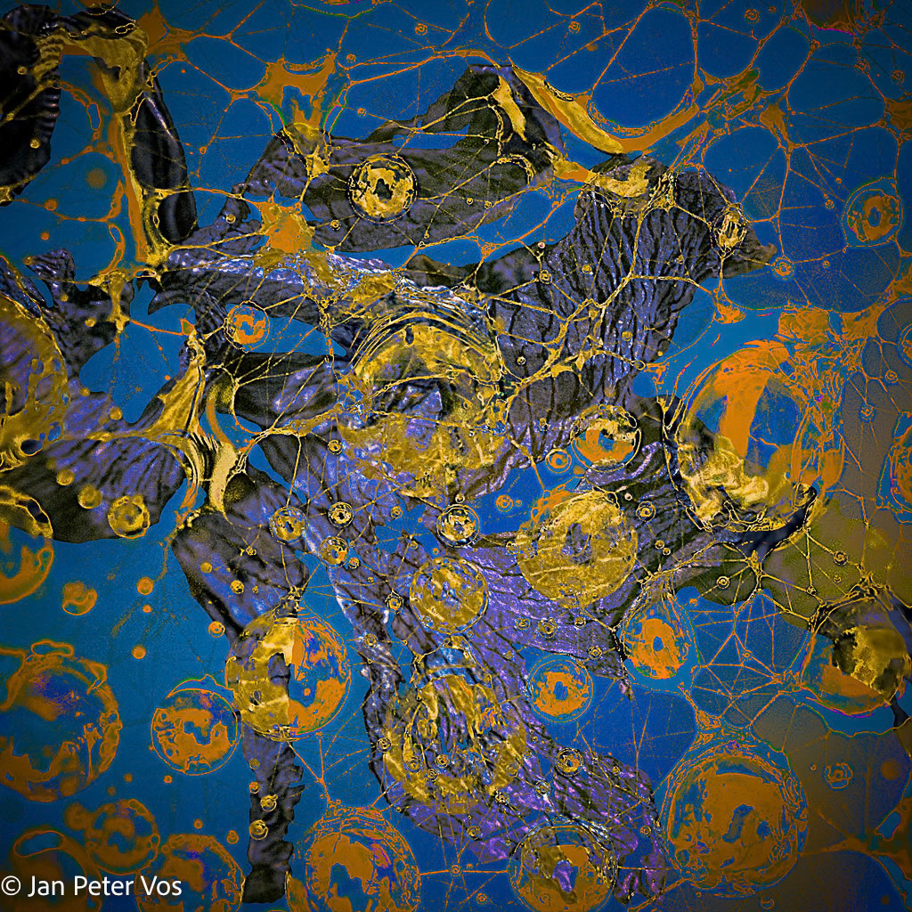 Considerations of my Dragon, 408340-203