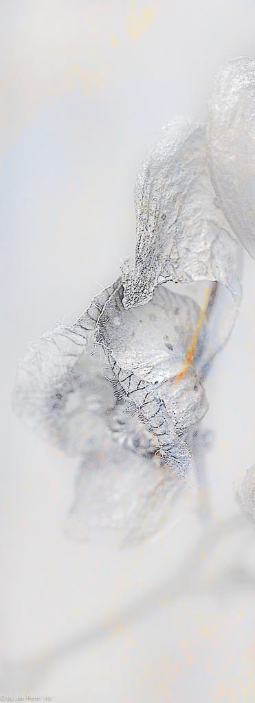 The Angel, 400418-102
