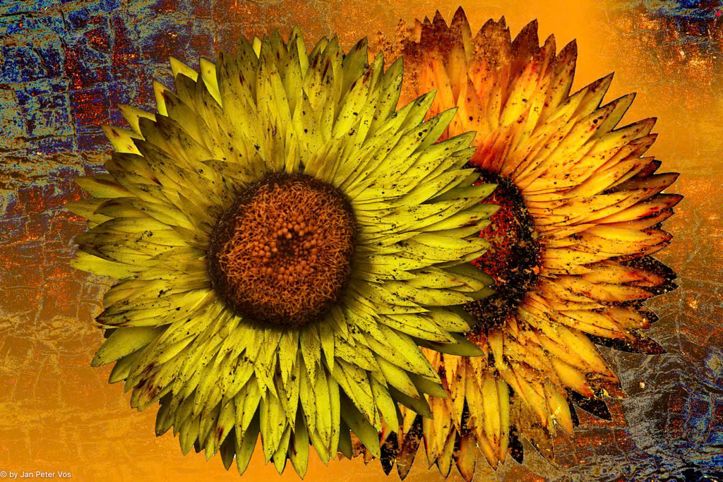 GetToGether:100x150cm