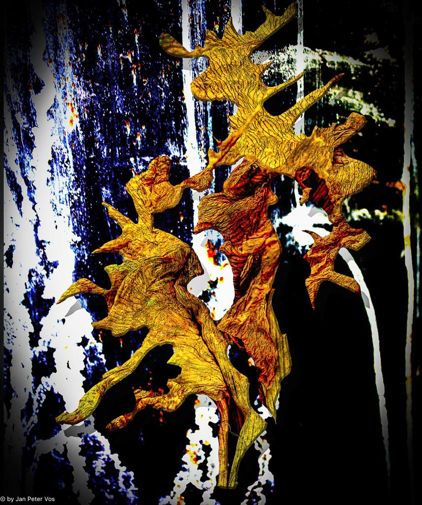 Mother &amp; Daugther, 408349-205