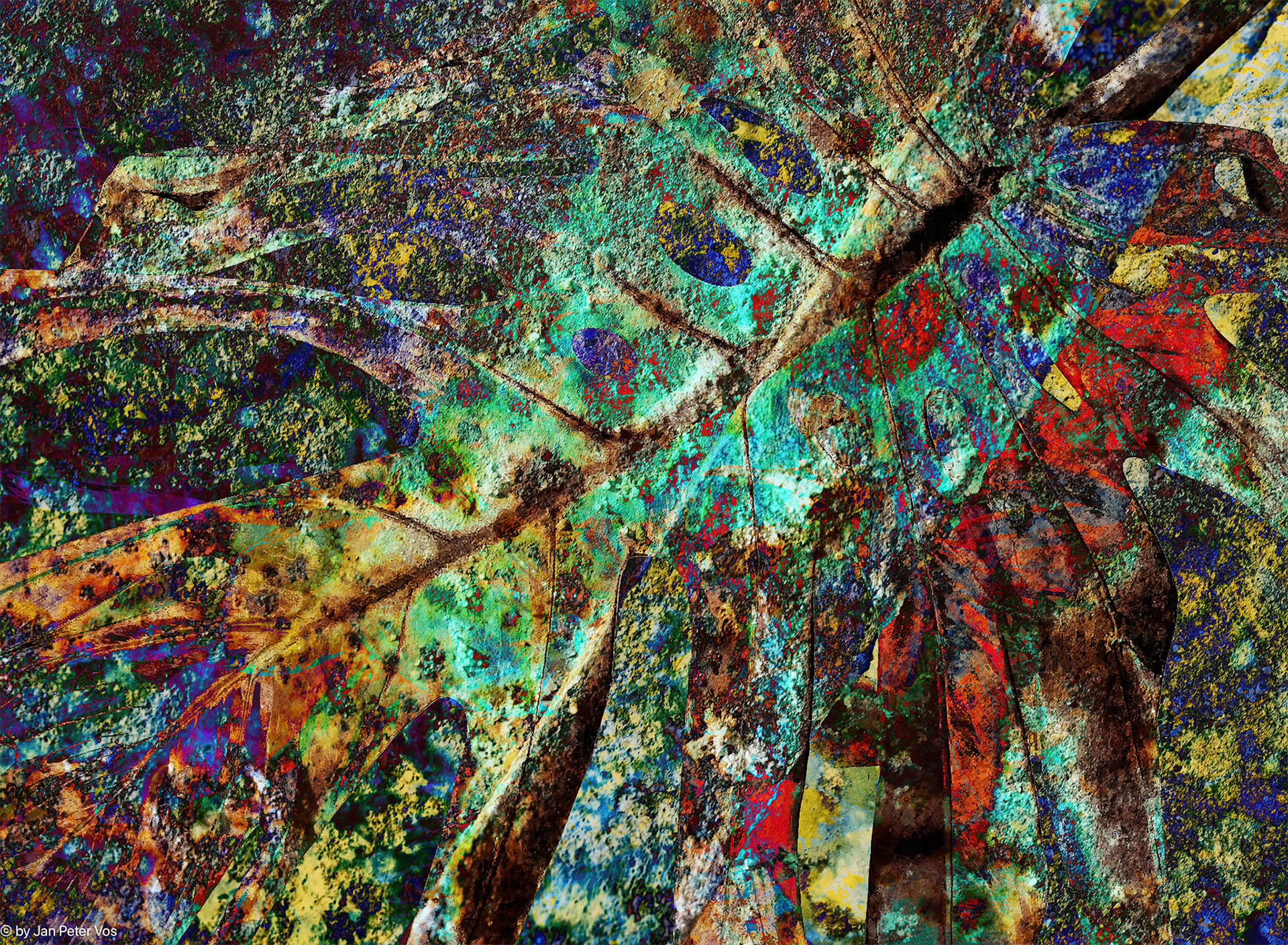 A prehistoric Impression, 410427-113