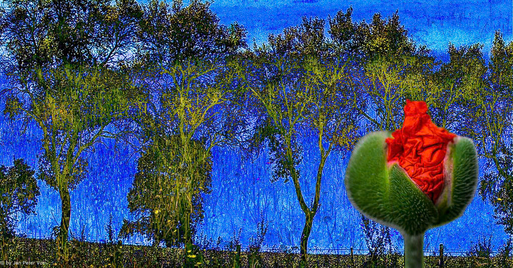 The Tale of Spring, 405610-109