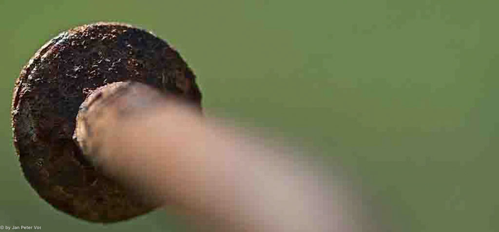 The Dark Side of a Nail: 70x160cm