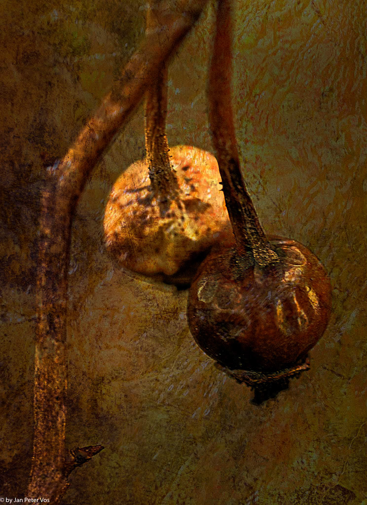 Hanging Around, 401073-100