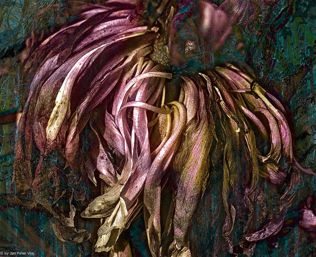 Dancing into Ecstasy, 407032-103