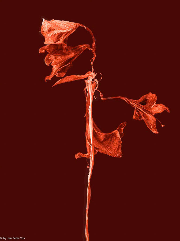 The Color of Love, 410958-107