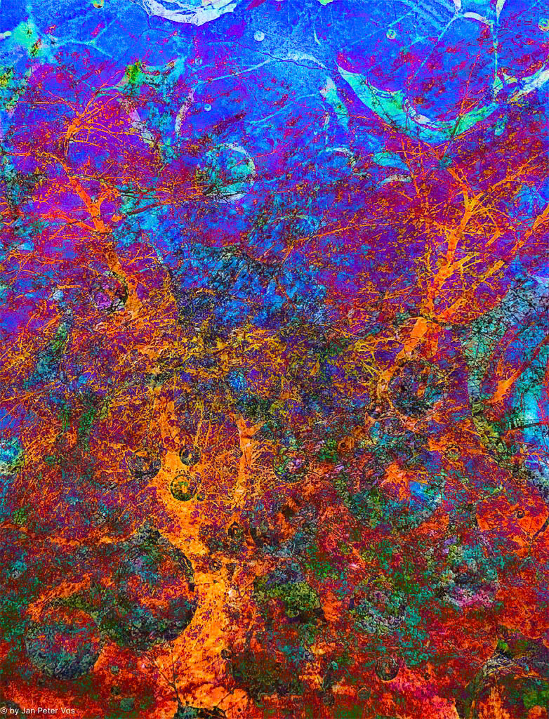 The Turbulence of Emotions, 410865-100