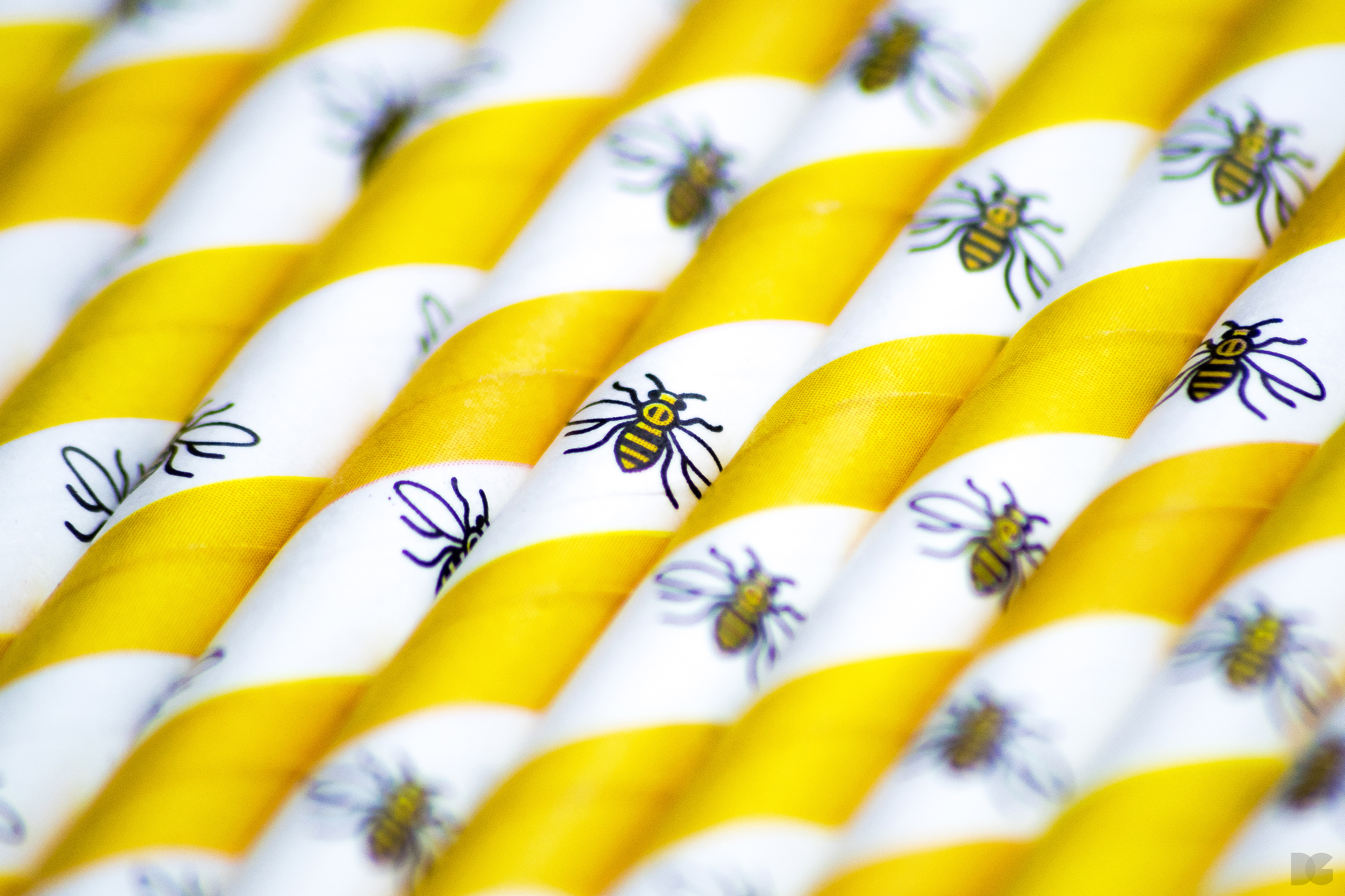 David Gilmore Design - The Manchester Bee Paper Straw