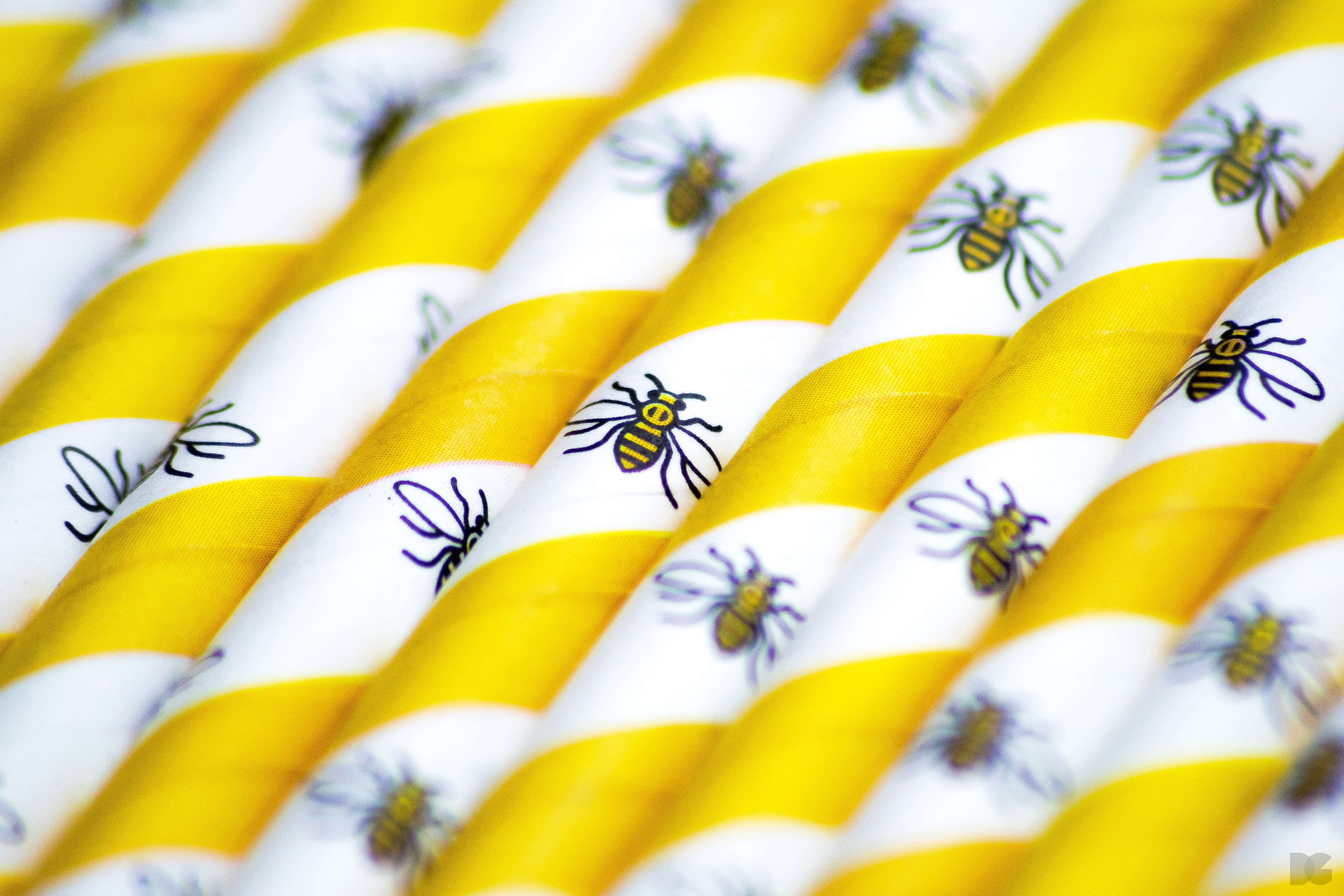 Close up product photograph of The Manchester Bee Paper Straw. © 2018 David Gilmore Design