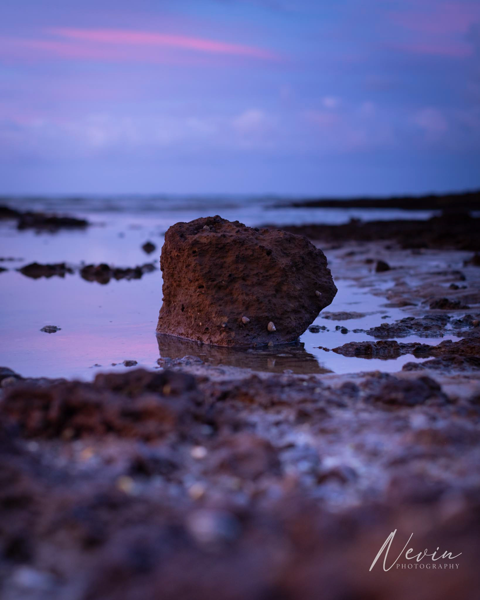 Ricketts Point Marine Sanctuary - 08/02/2025