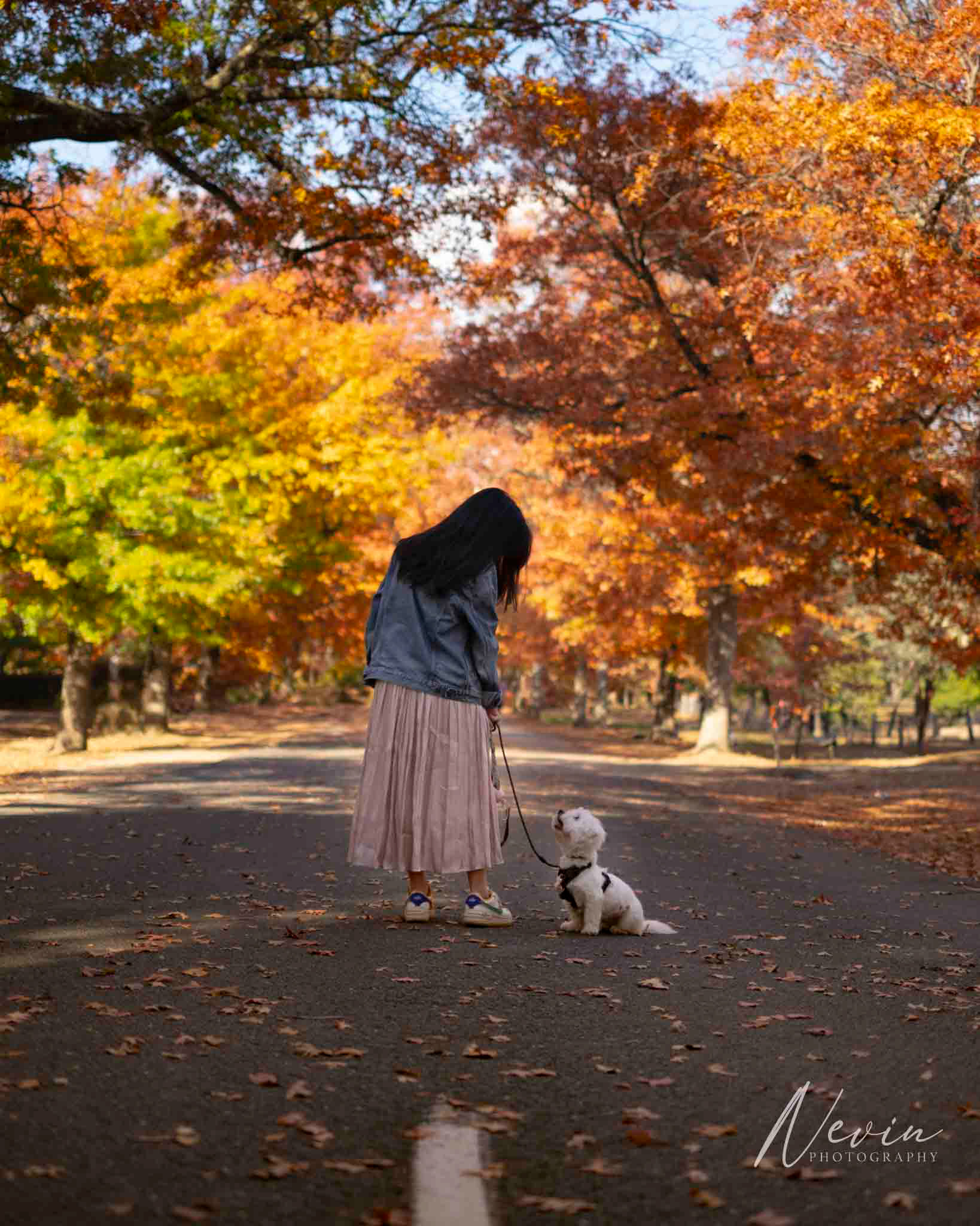 Honour Ave, Macedon - 12/04/2025