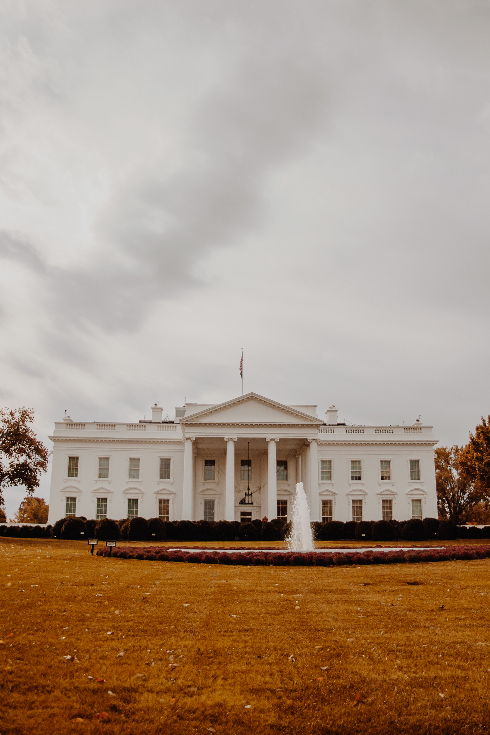 The White House