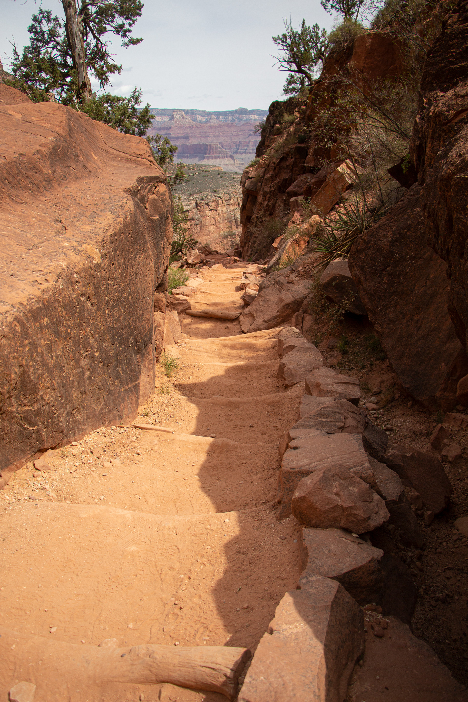  Bright Angel Trail at The Grand Canyon