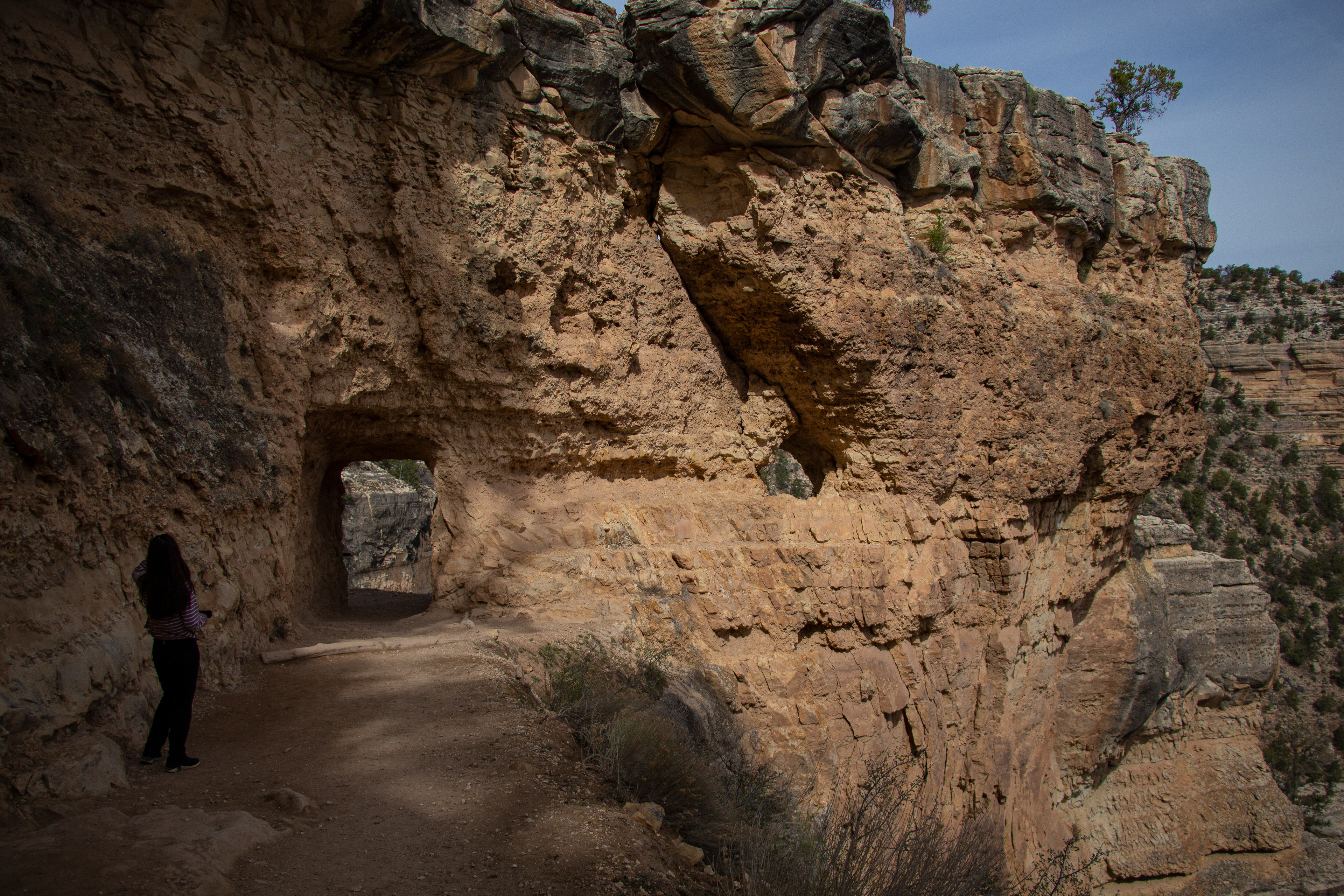  Bright Angel Trail at The Grand Canyon