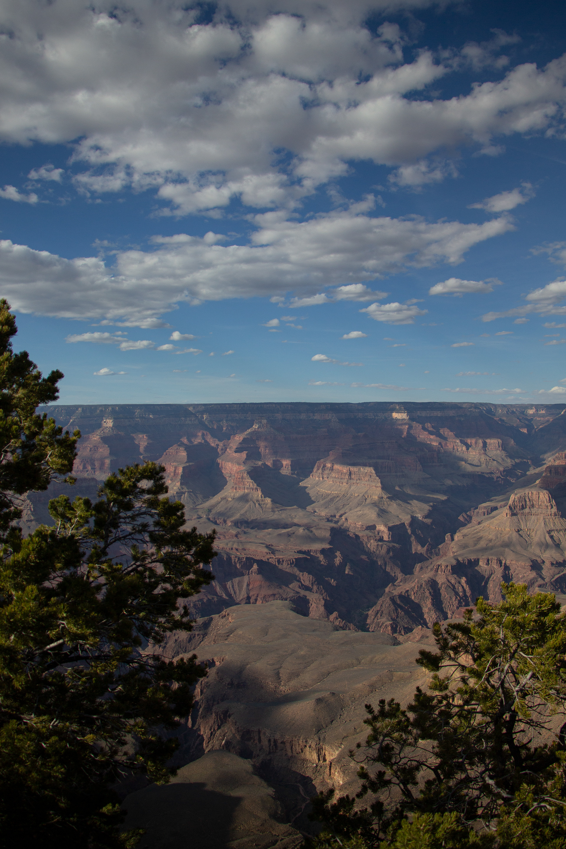 The Grand Canyon