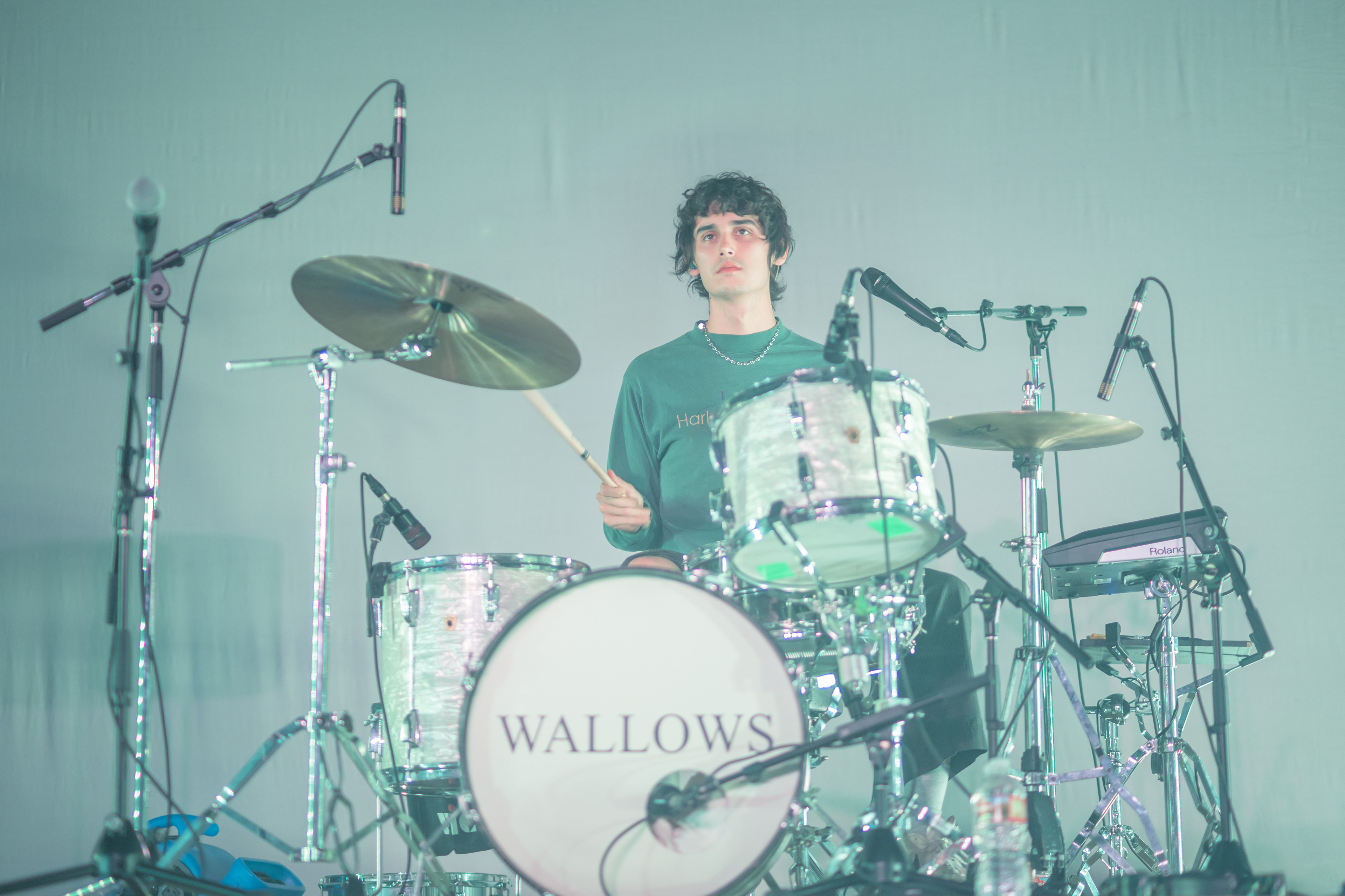 Wallows