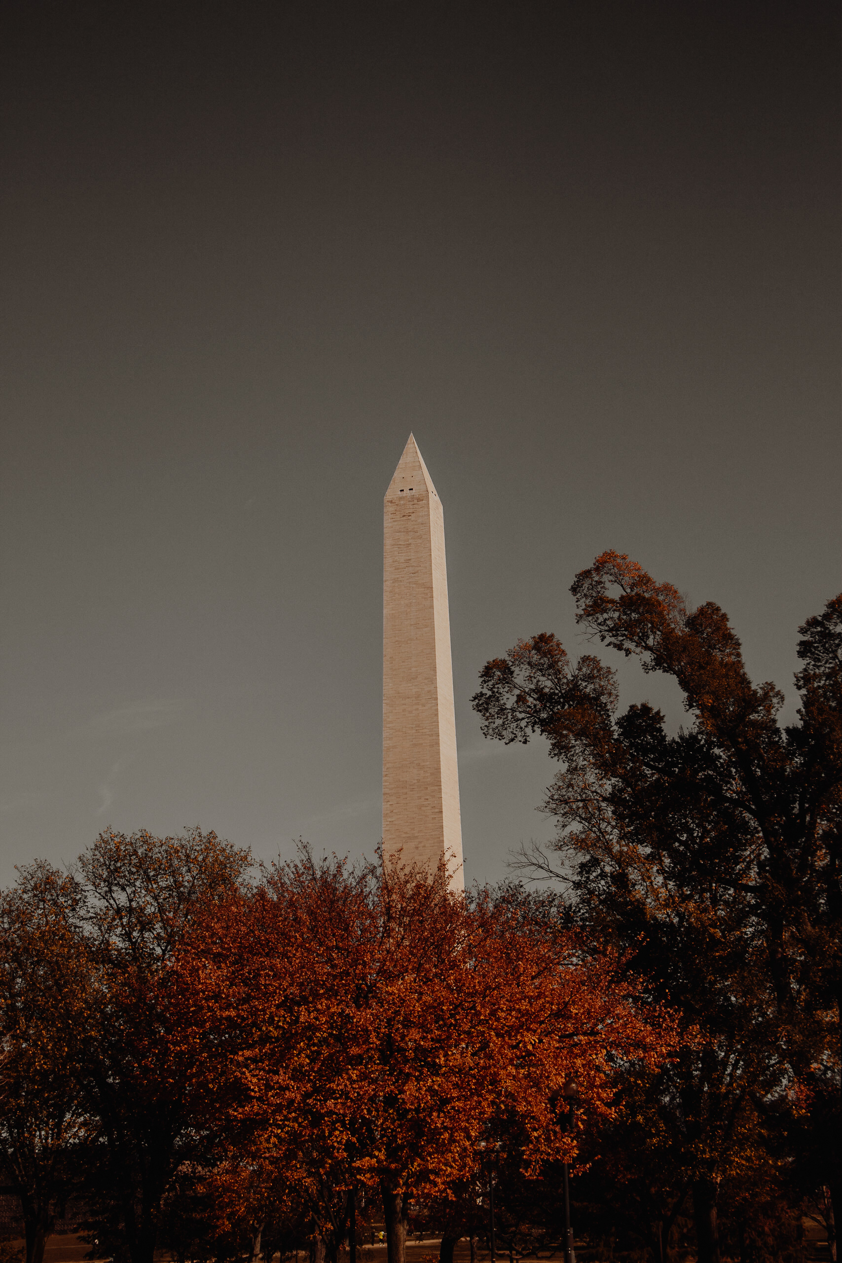 Washington Monument