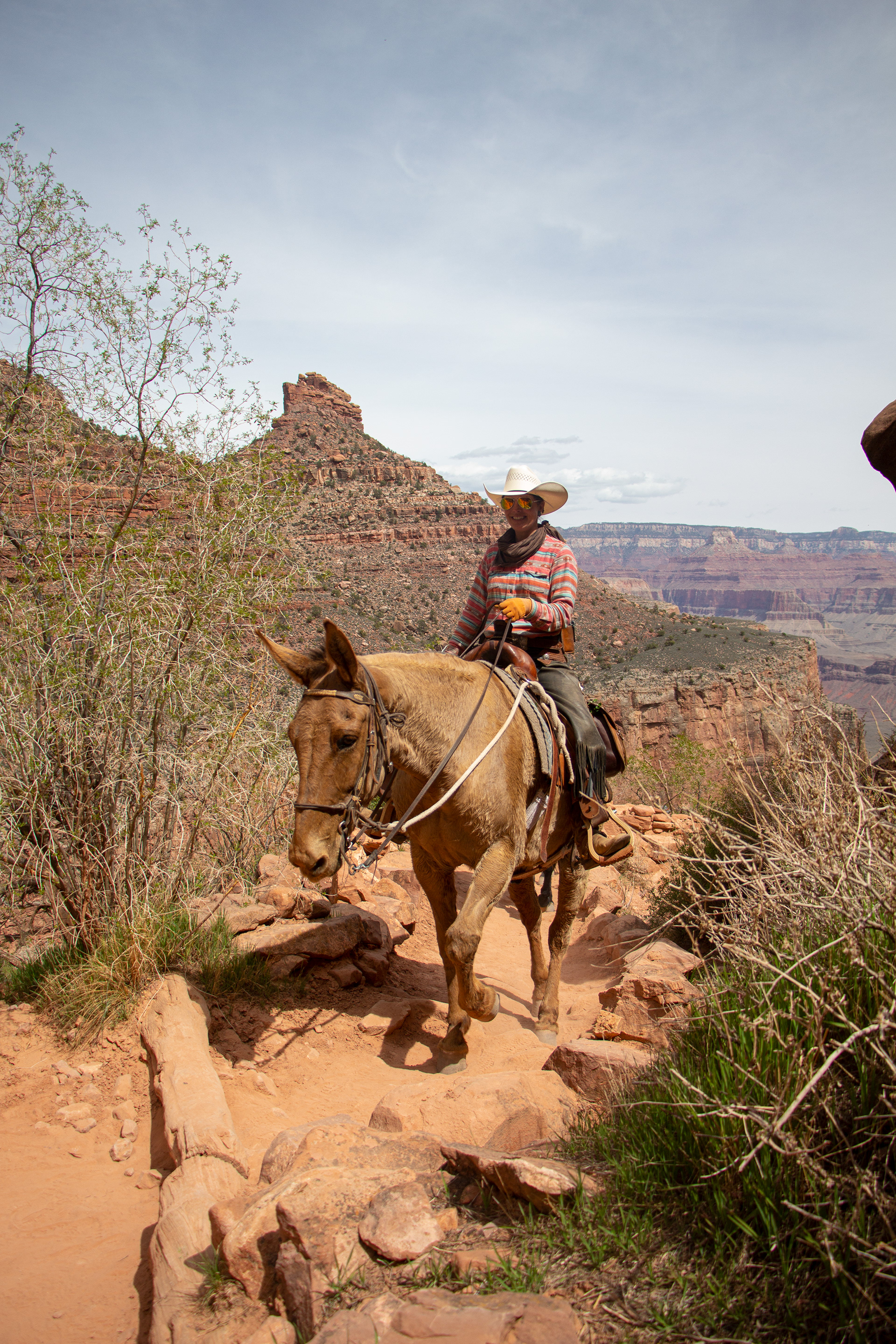 Bright Angel Trail at The Grand Canyon