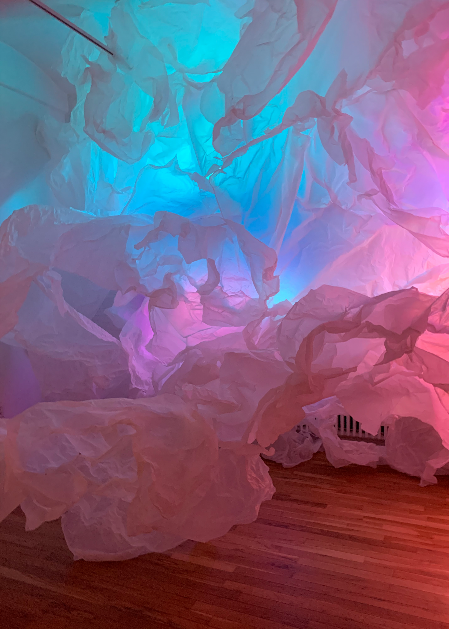 LIGHT, by Vera Manzi-Schacht (4pm)