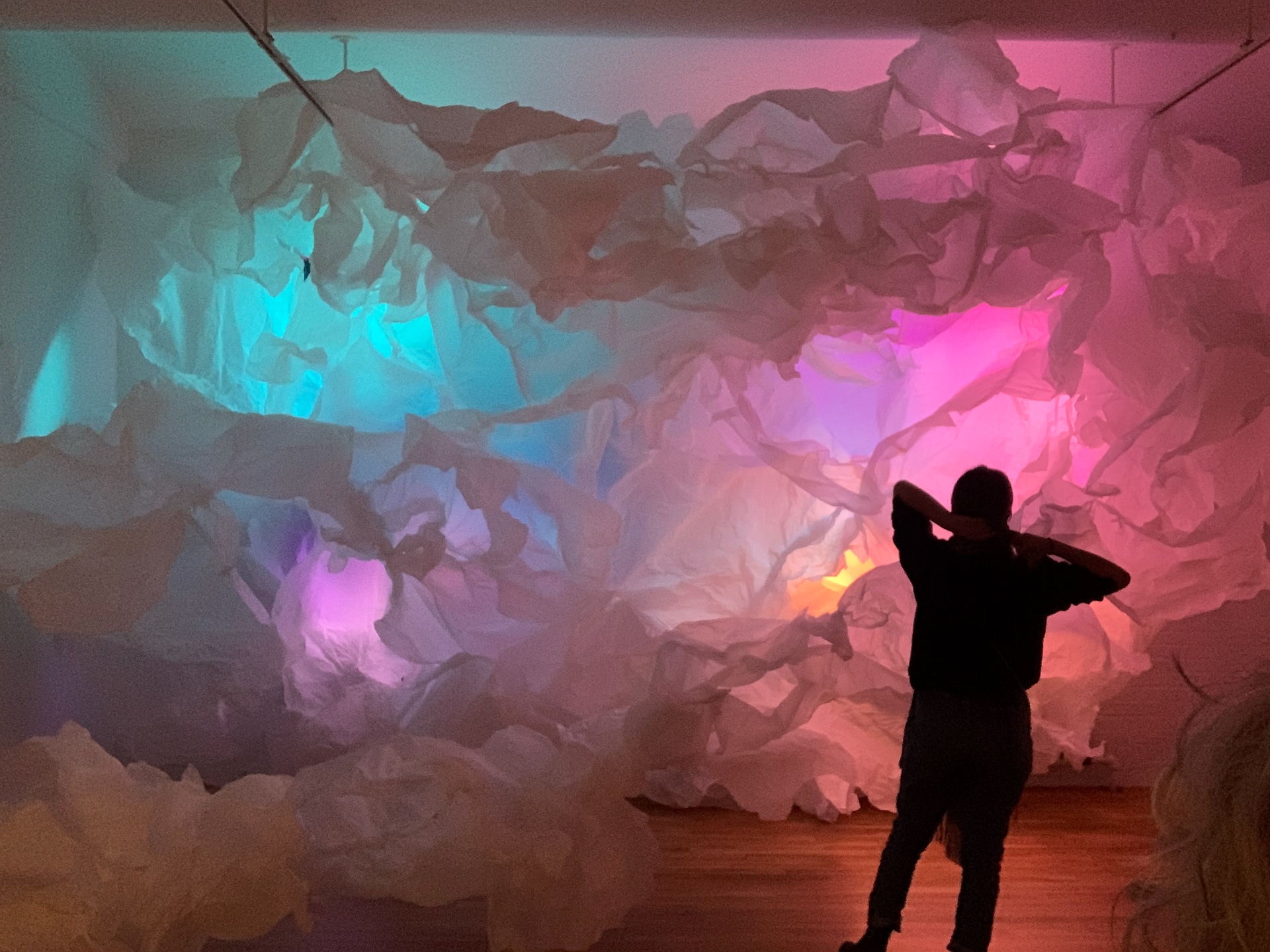 LIGHT, by Vera Manzi-Schacht (3pm)