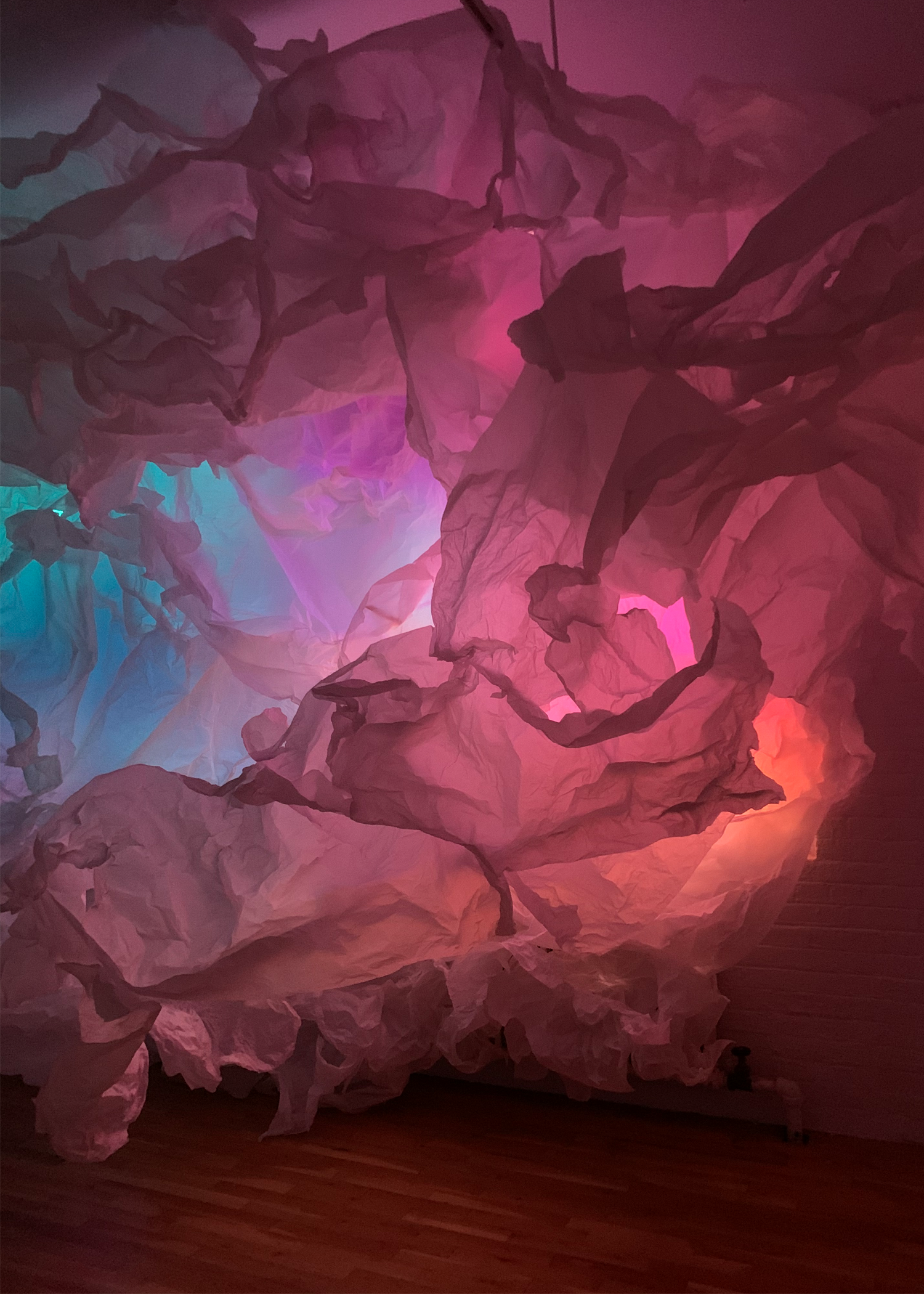 LIGHT, by Vera Manzi-Schacht (5pm)