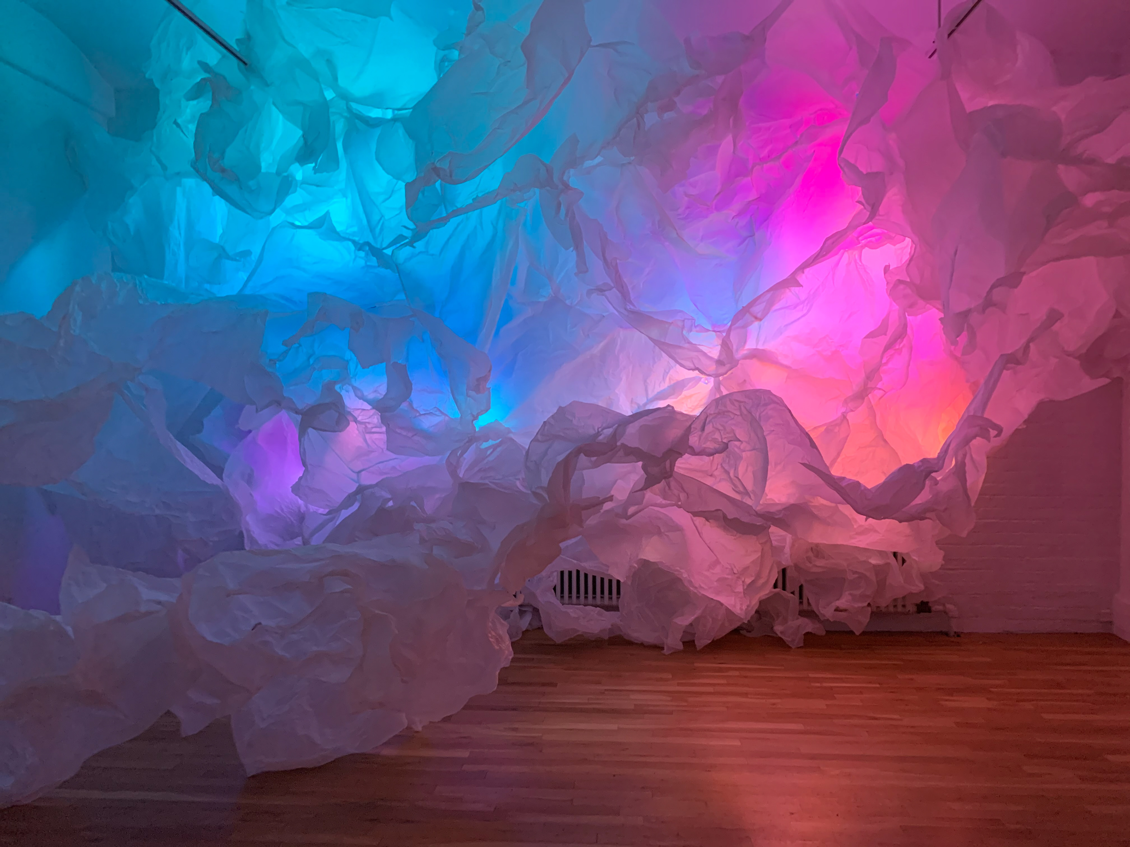 LIGHT, by Vera Manzi-Schacht (2pm)