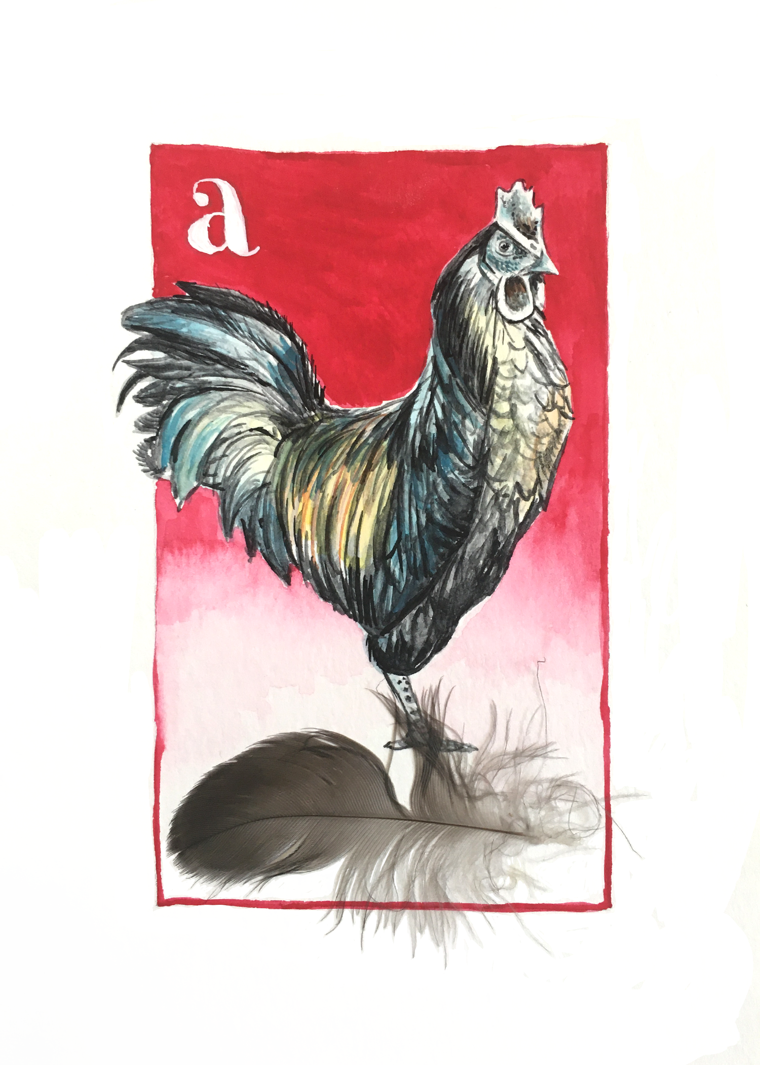 Ayam Cemani