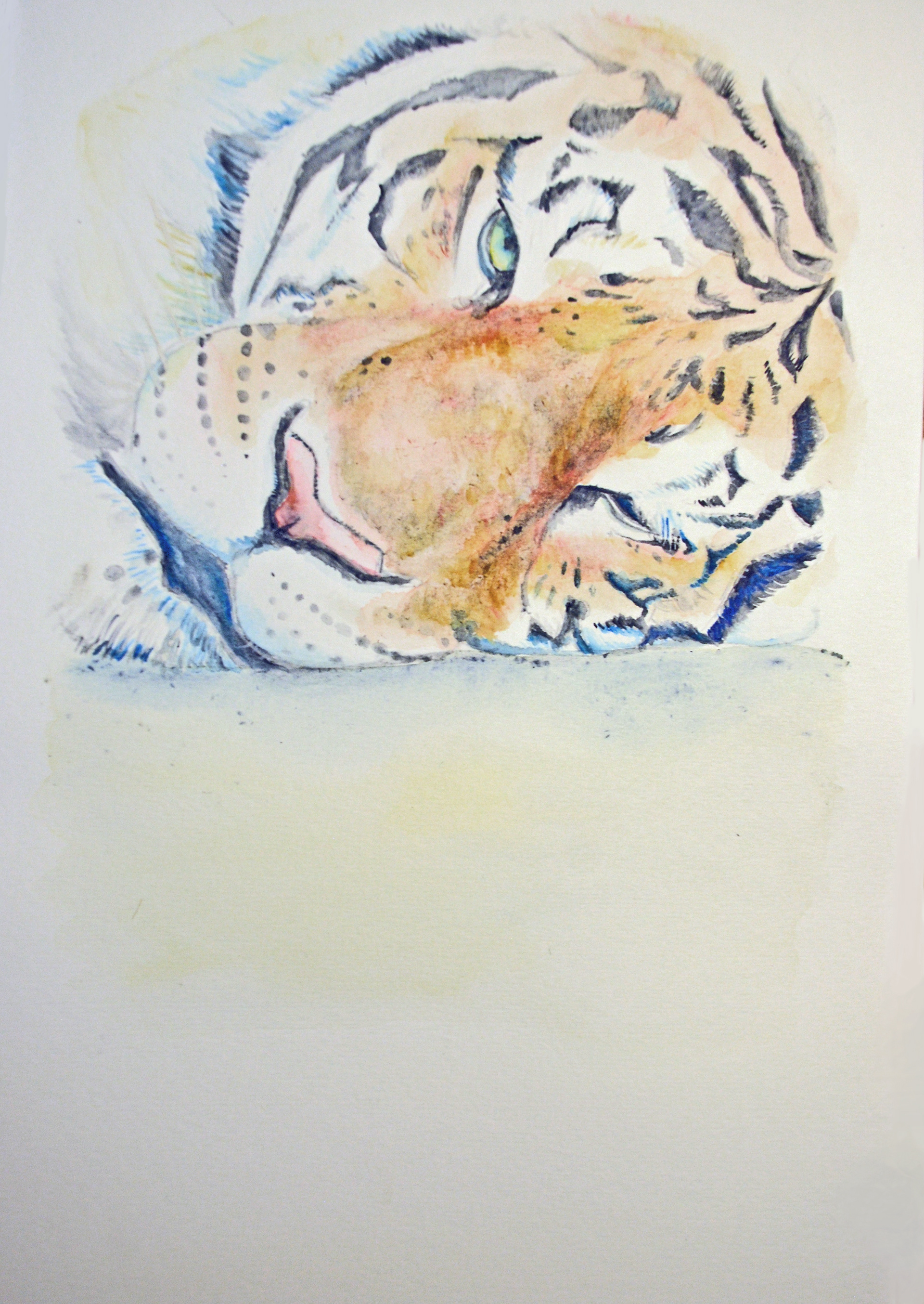 Tiger. Watercolor
