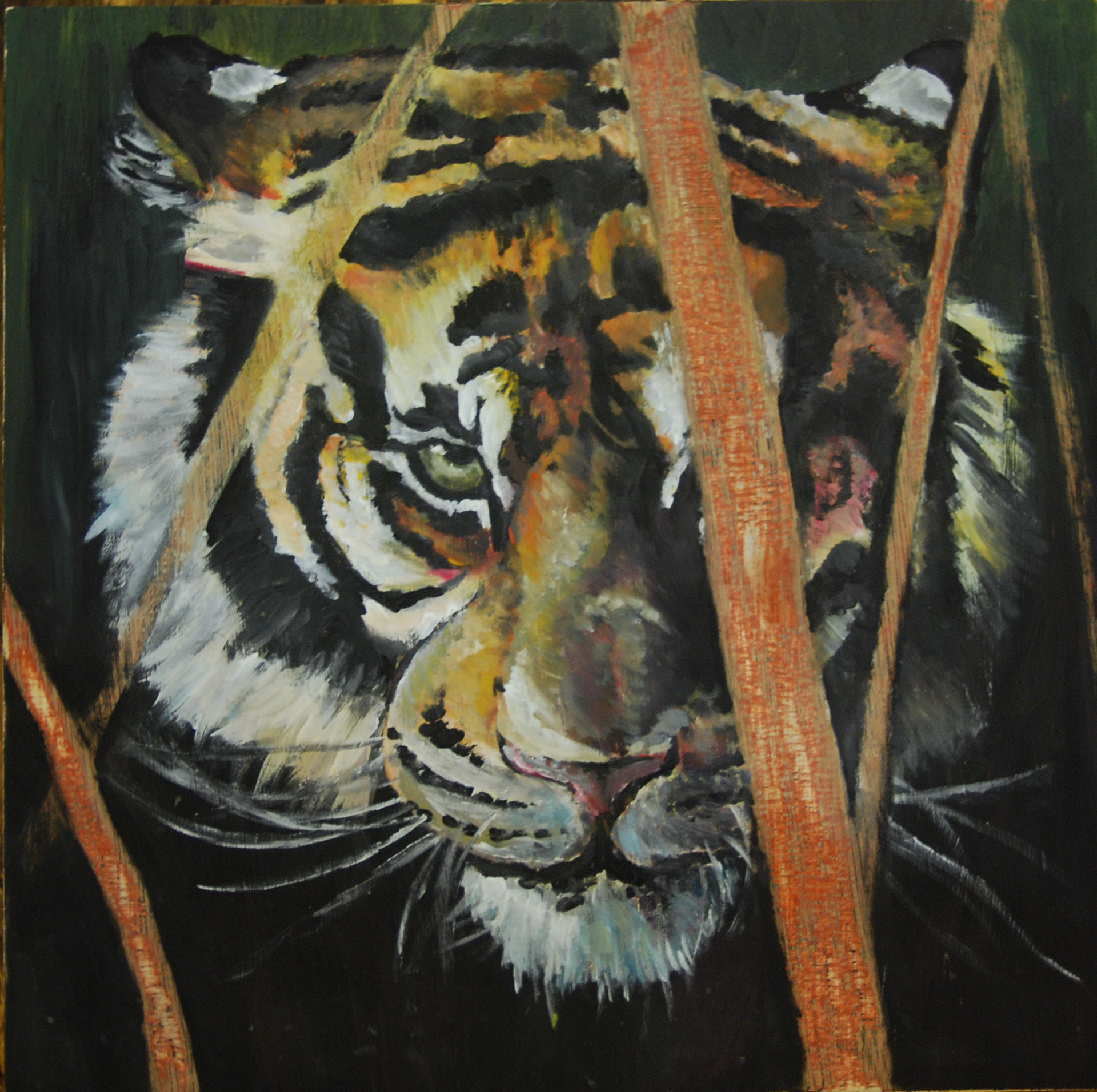 Tiger. Acrylic and wood