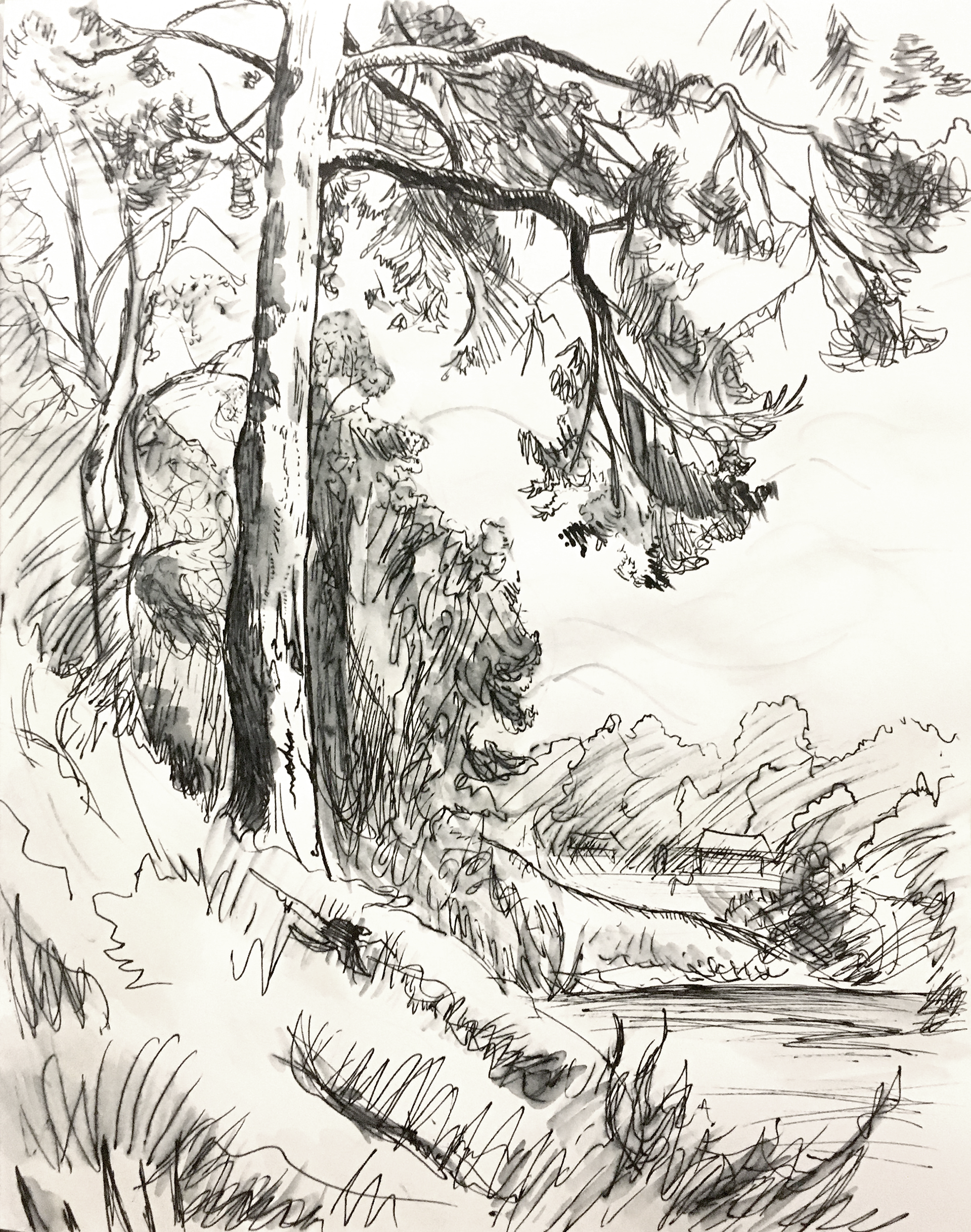Landscape. Ink and water
