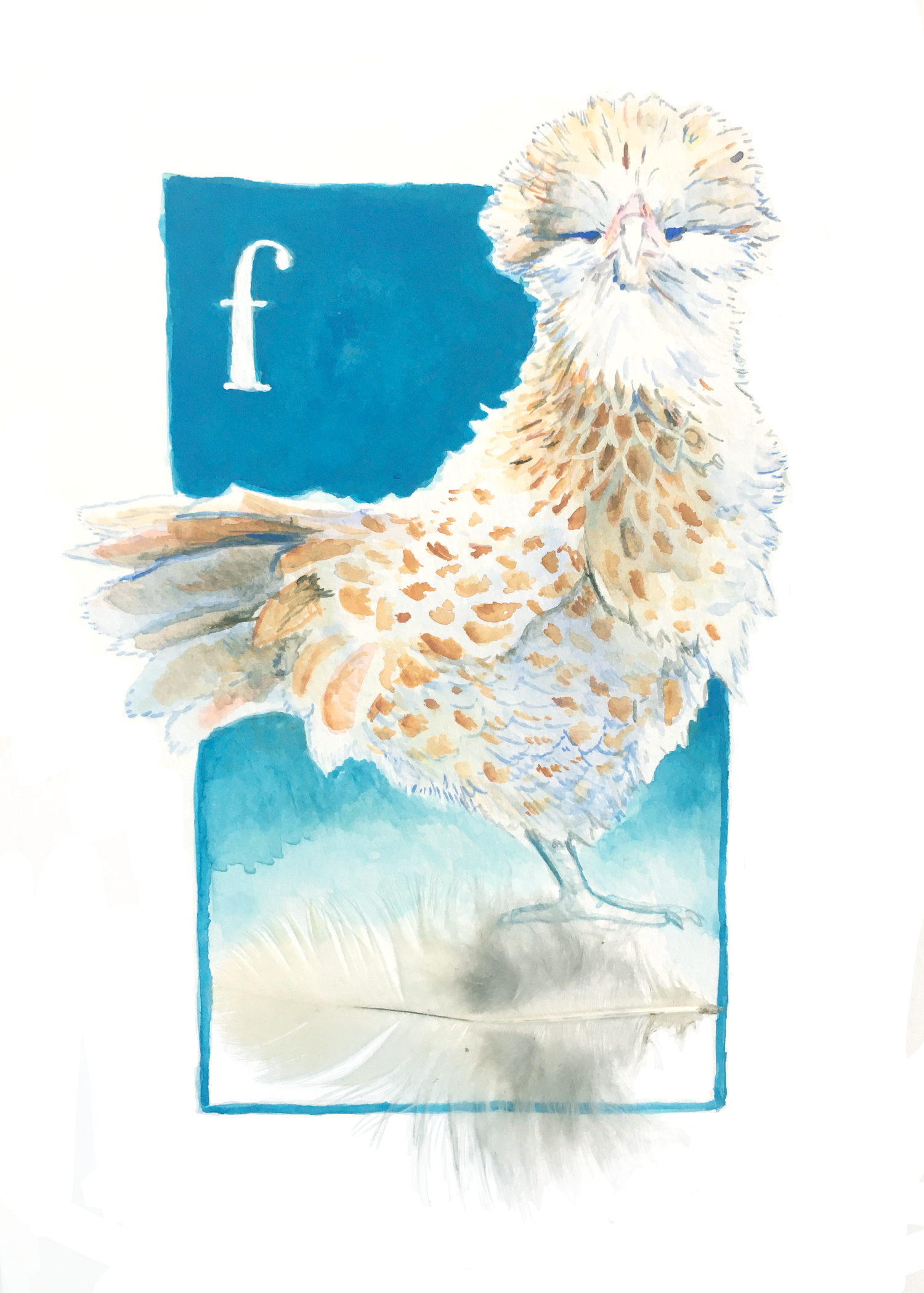 Frizzle