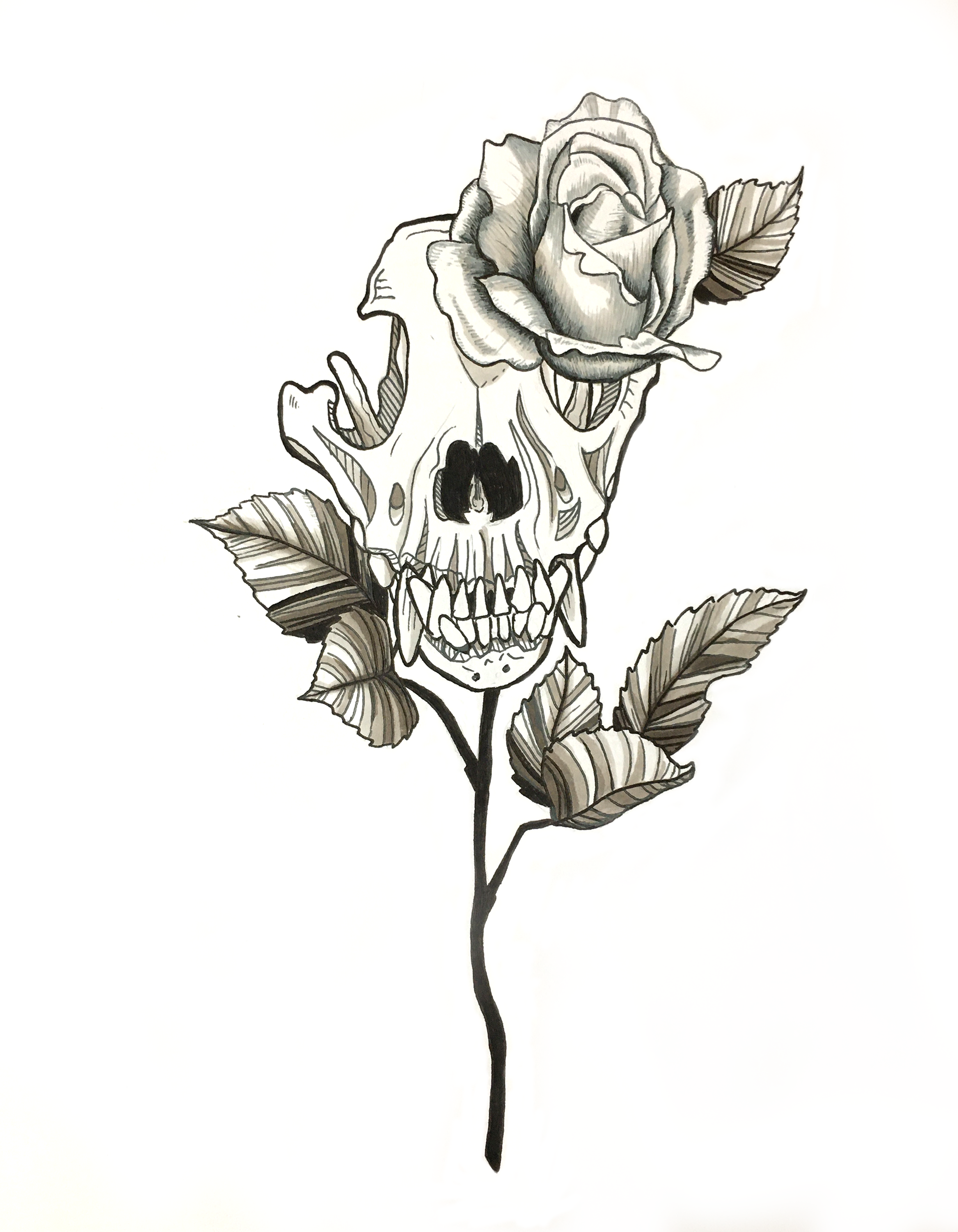 Dog skull & Rose. Ink