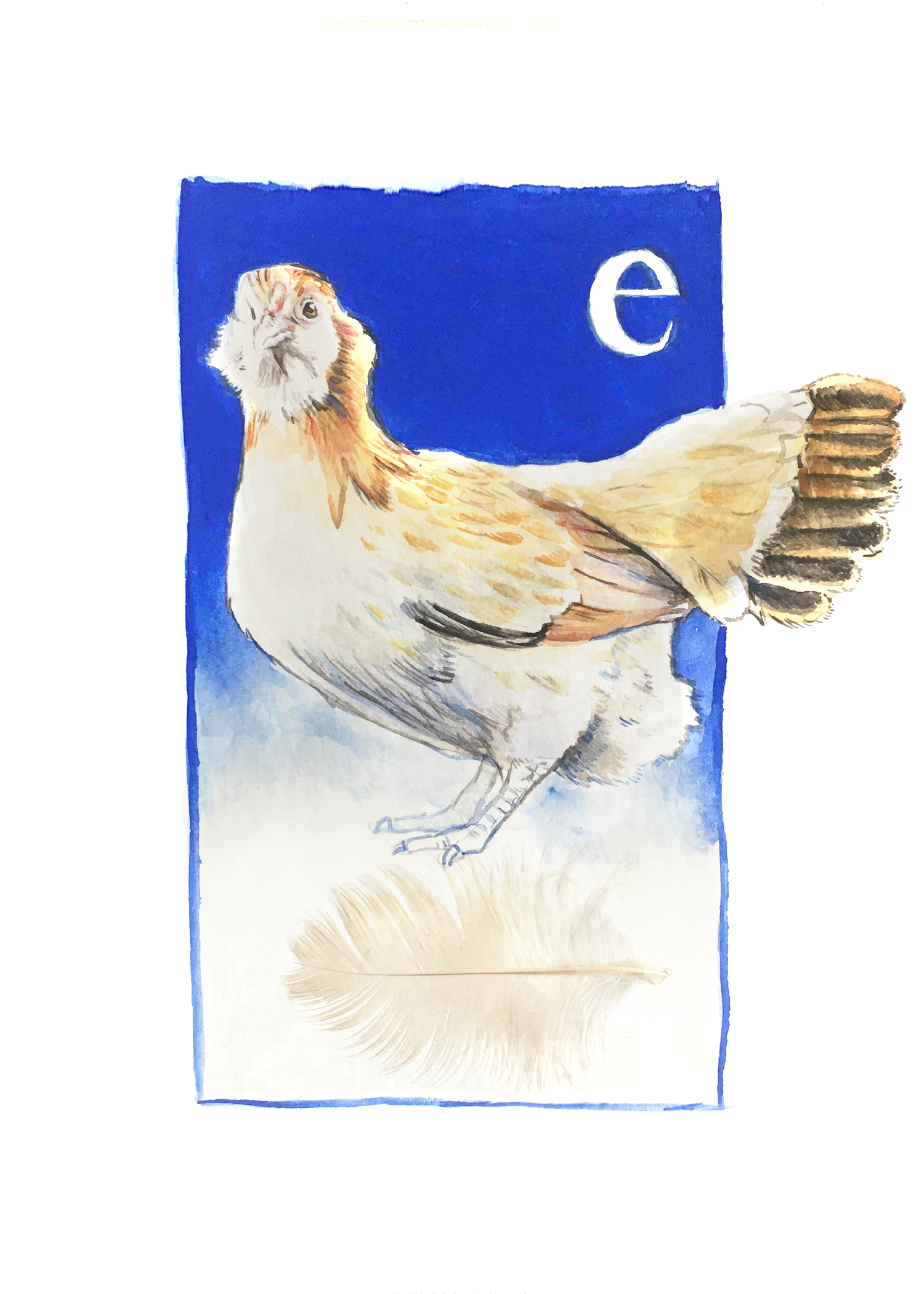 Easter Egger
