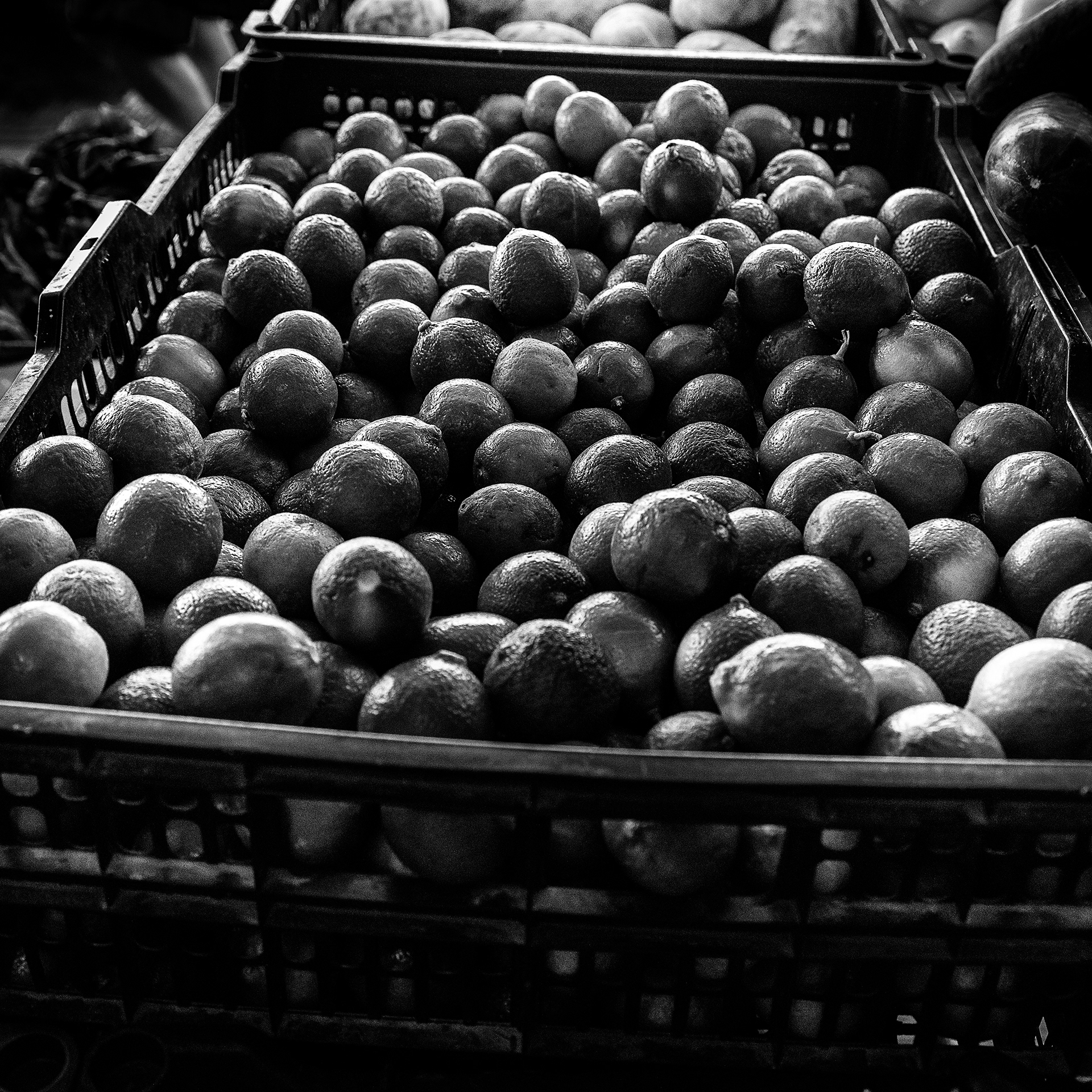 307/366 Mercado Municipal